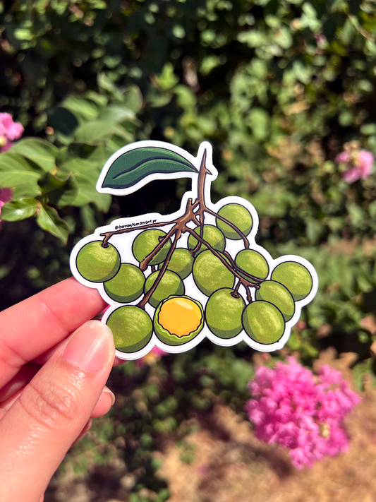 Quenepas from Puerto Rico STICKER